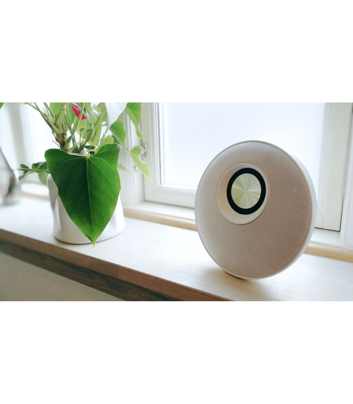 Chill Fidelity E50 trådløs Bluetooth højtaler i hvid